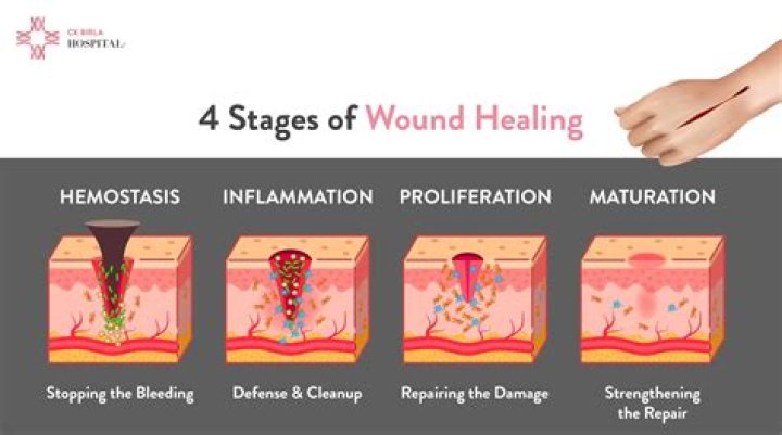 How can I heal tissue damage faster?