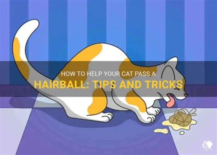 How can I help my cat pass a hairball?