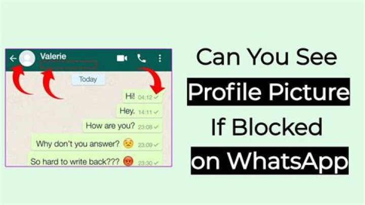 How can I know who see my WhatsApp DP?