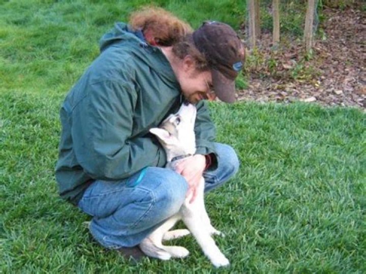 How can I stop being angry at my dog?