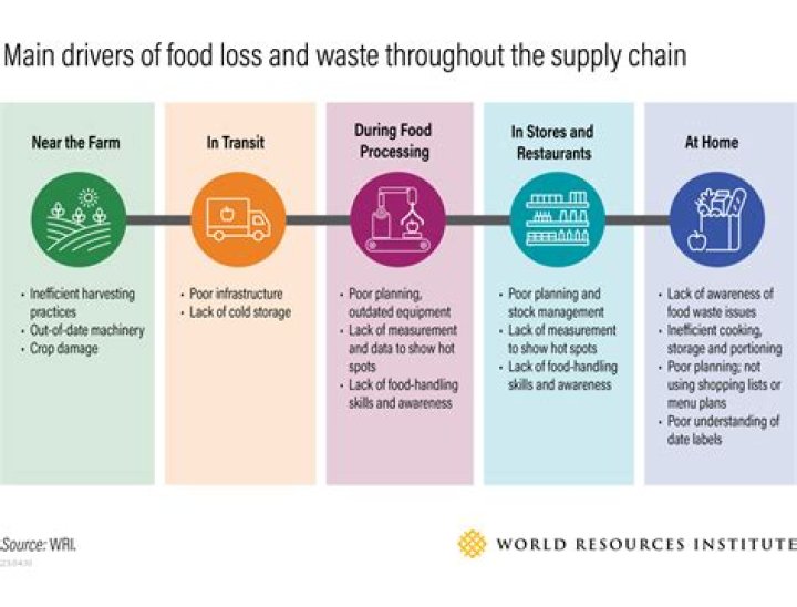 How can we reduce the consumption of wine?