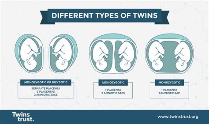 How can you tell if two trees are identical?