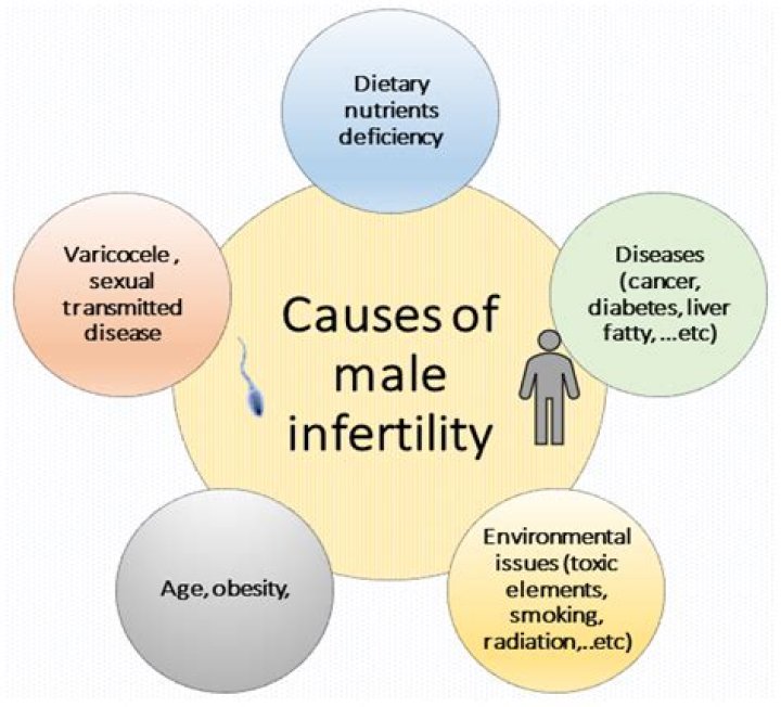 How common is female infertility?