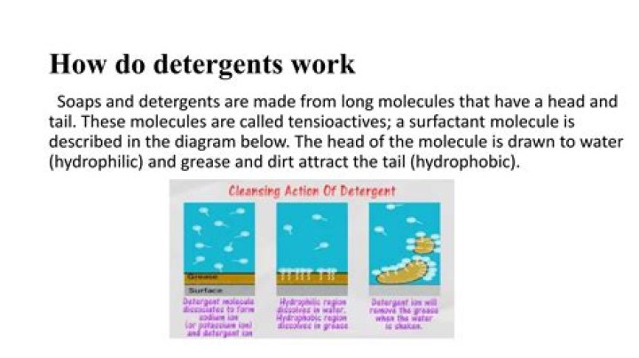 How do biological detergents work?