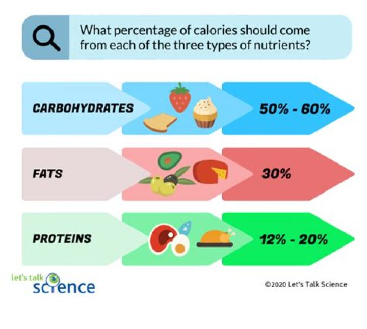 How do calories work?