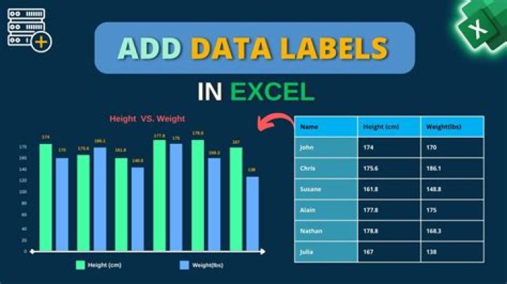How do I add different data labels in Excel?