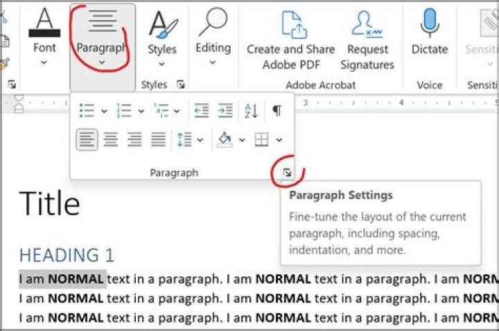 How do I apply paragraph styles in Photoshop?
