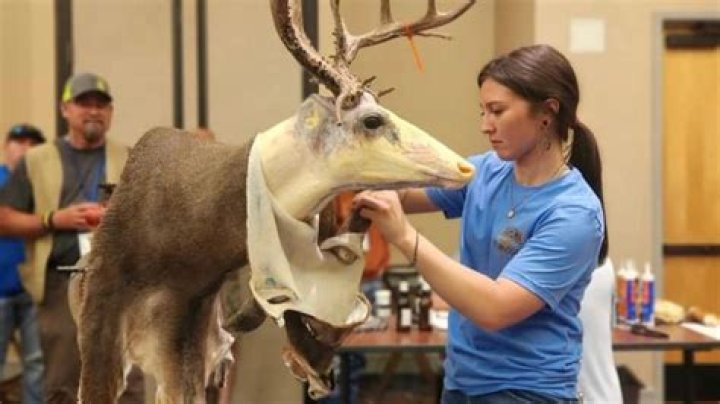 How do I become a taxidermist?