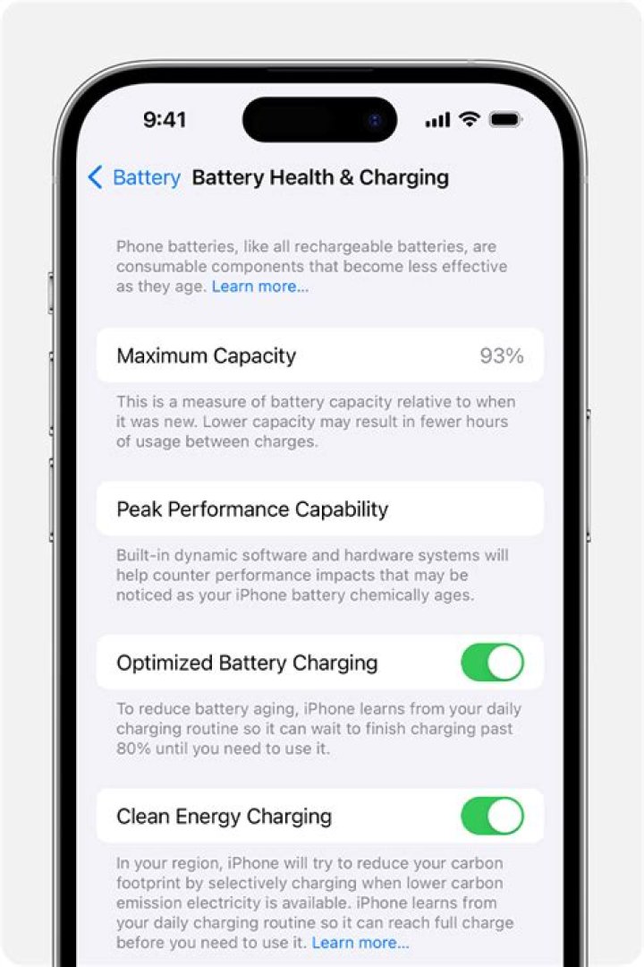 How do I check the battery capacity on my Mac?