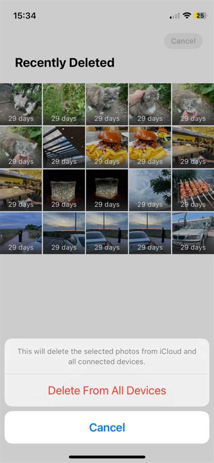 How do I delete photos from last import?