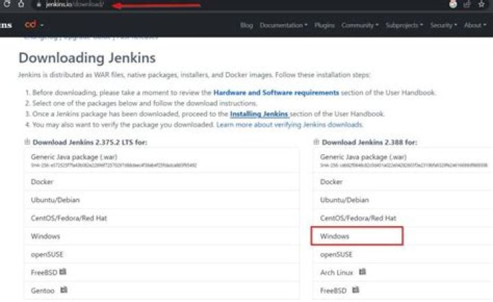 How do I download and install Jenkins on Windows?