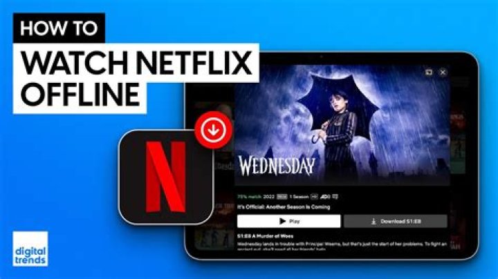 How do I download Netflix to mp4?