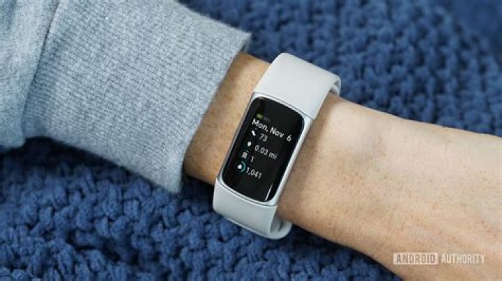 How do I get my Fitbit data into Excel?