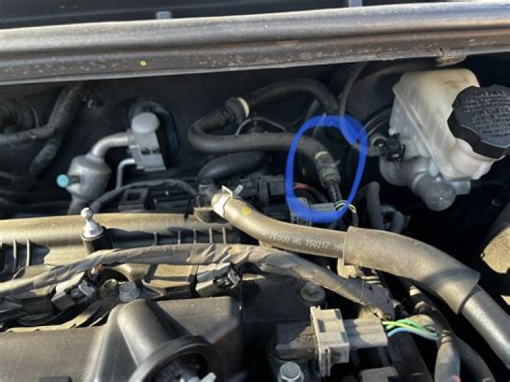 How do I get my vacuum to stop smelling?