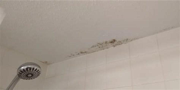 How do I get rid of black spots on my bathroom ceiling?