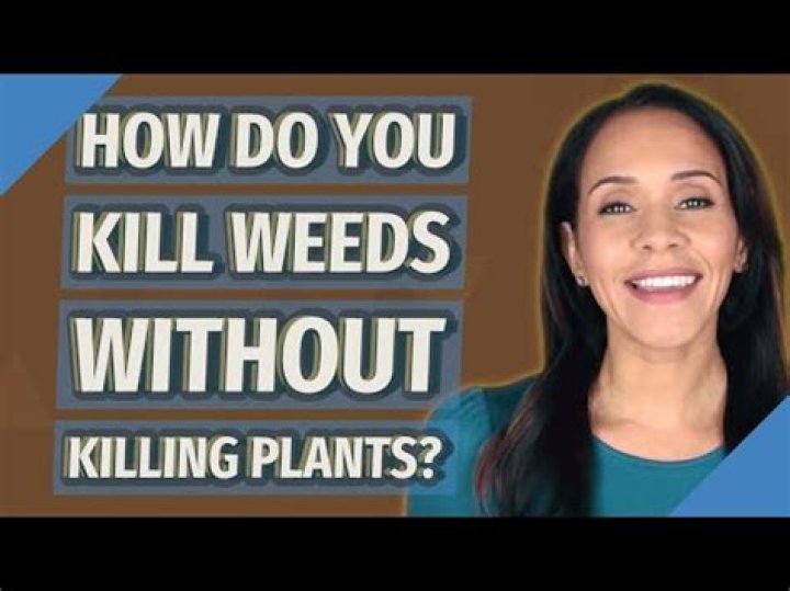 How do I get rid of weeds in flower beds without killing flowers?