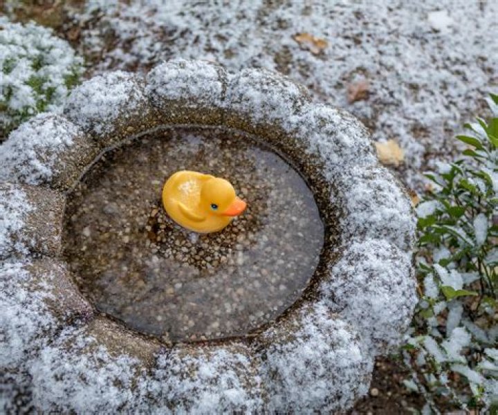 How do I keep my bird bath from freezing?