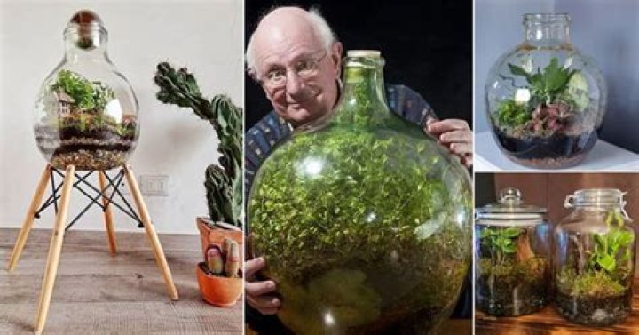 How do I make a bottle garden?
