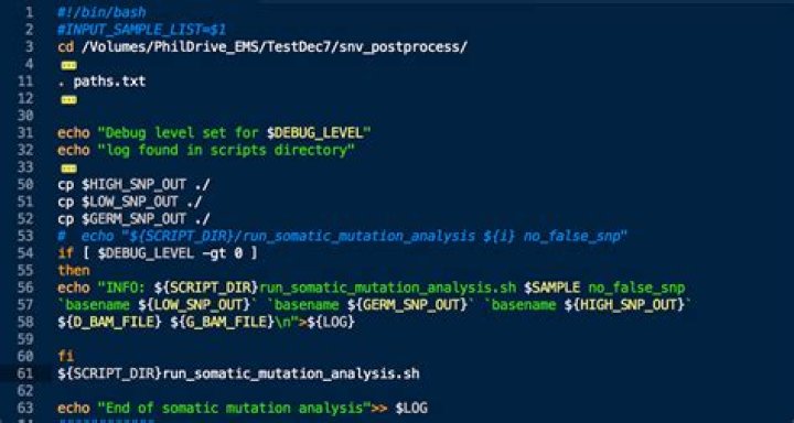How do I practice bash scripts?