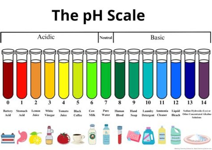 How do I raise the pH in my saltwater tank?