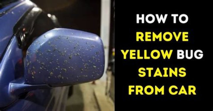 How do I remove bug stains from my car?