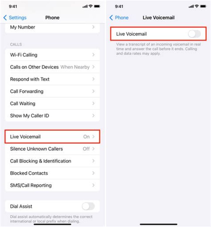 How do I set up visual voicemail on my iPhone 6?