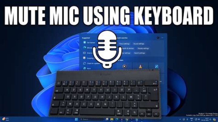 How do I turn off the microphone on my Toshiba laptop?