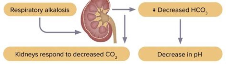 How do kidneys compensate for metabolic acidosis?