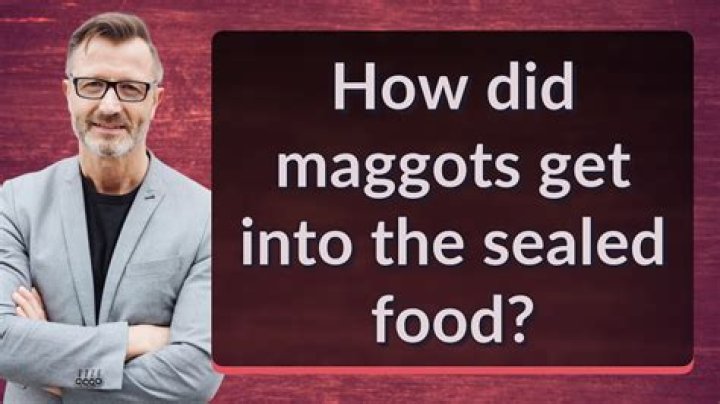 How do maggots form in sealed packages?