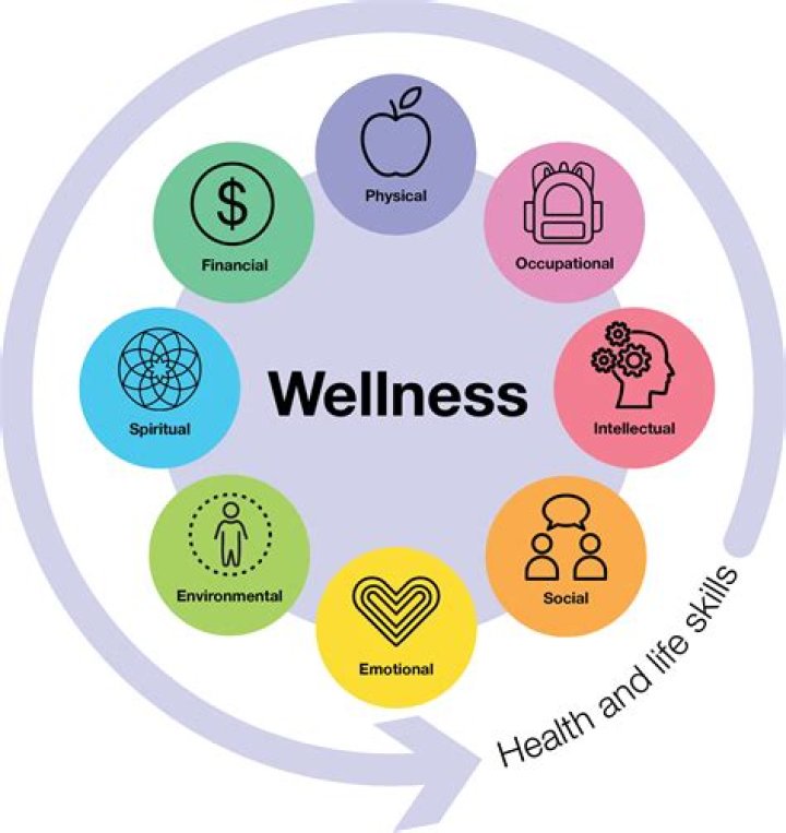 How do nurses promote health and wellness?