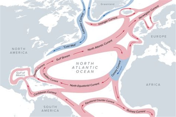 How do ocean currents transfer heat in the ocean?