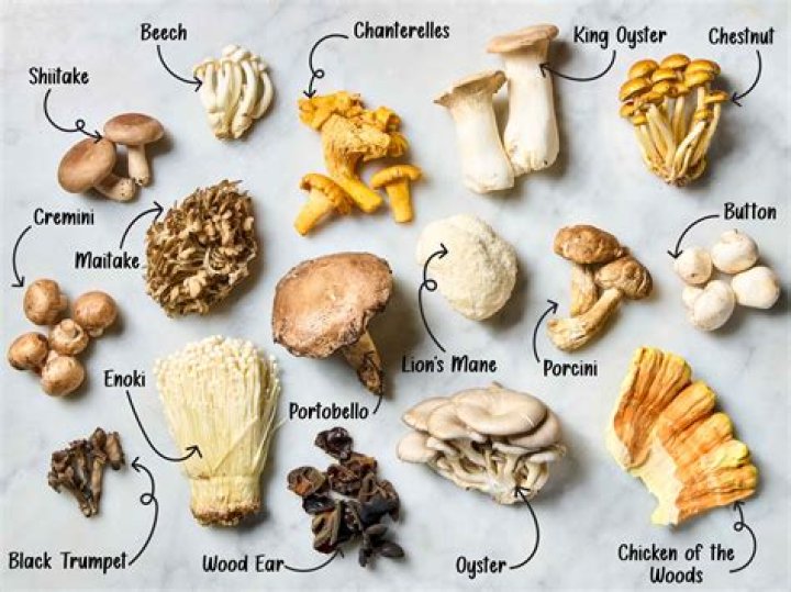 How do they produce mushrooms for commercials?