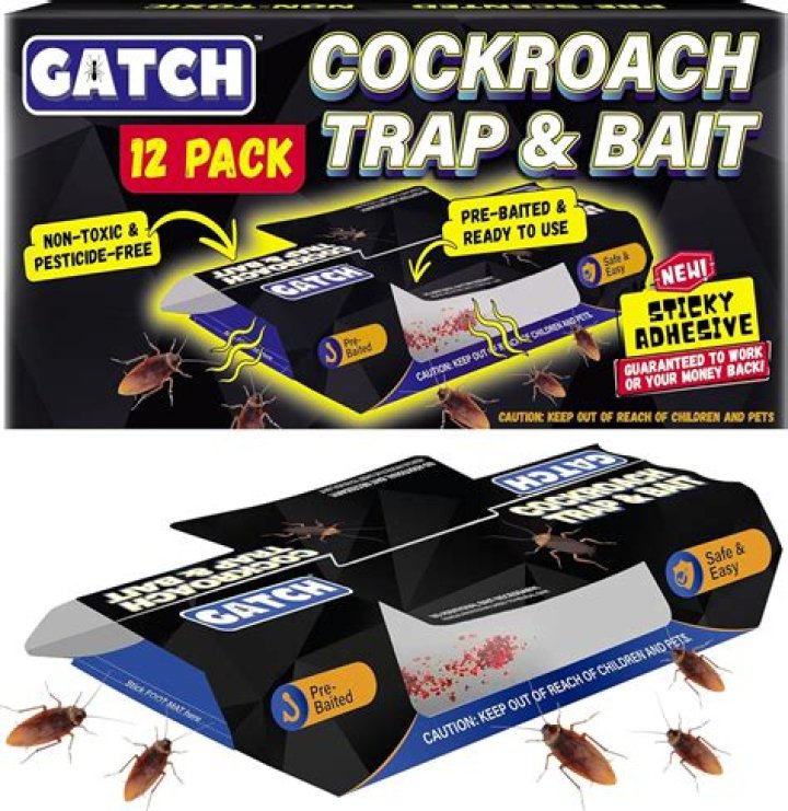 How do you bait a raccoon foot trap?