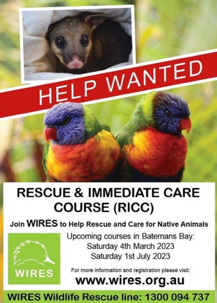 How do you become a wildlife rescuer?