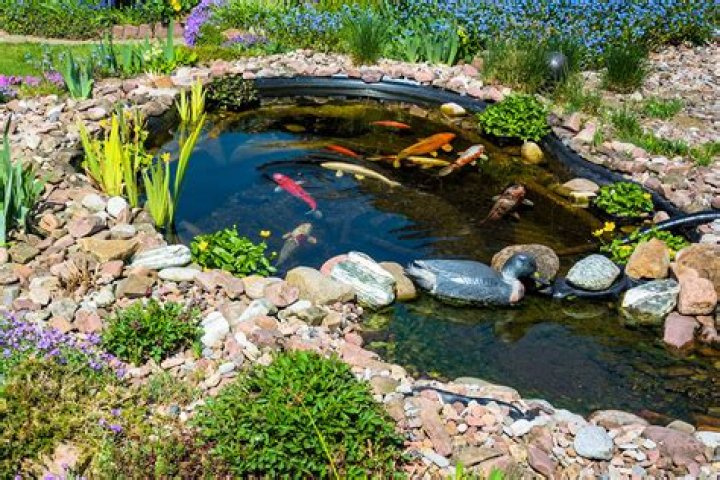 How do you build an outdoor koi pond?