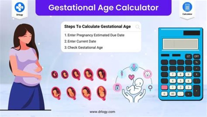 How do you calculate gestational age?