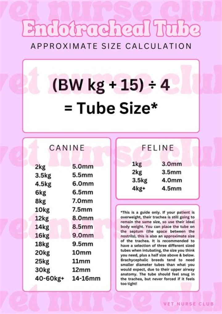 How do you calculate the size rebreathing bag required?
