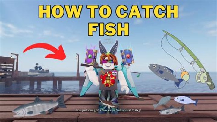 How do you catch more fish in a lake?