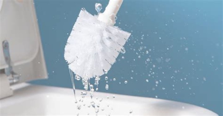 How do you clean a toilet brush and plunger?