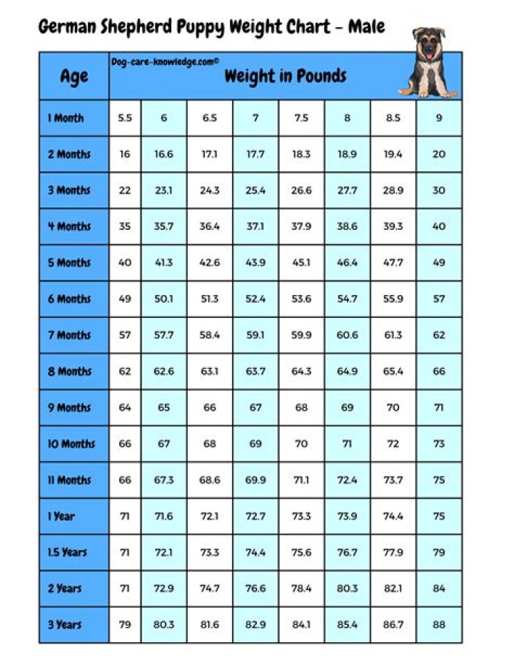 How do you determine the weight of a gemstone?