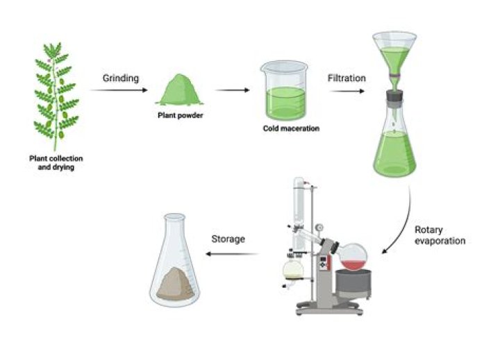How do you extract color from plants?