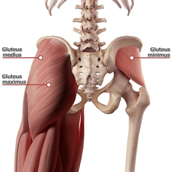 How do you find the gluteus minimus?