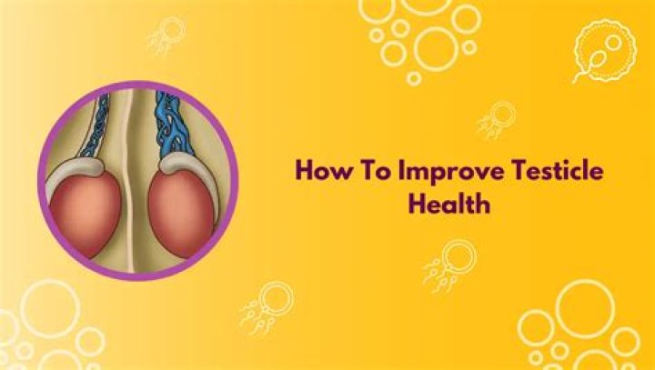 How do you fix a twisted testicle?
