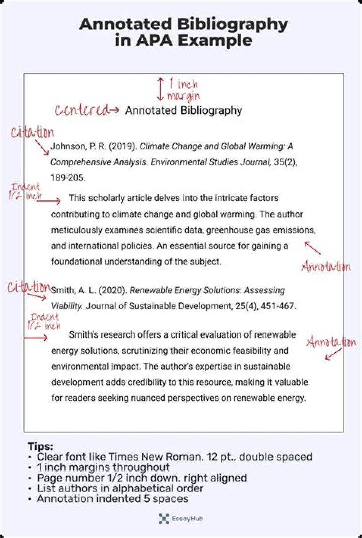 How do you format an annotated bibliography in APA?
