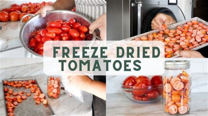 How do you freeze diced tomatoes?