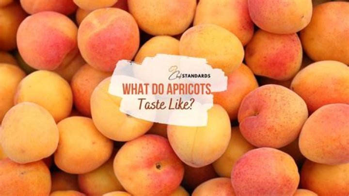 How do you germinate apricots?