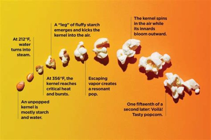 How do you get a popcorn hull out of your gum?