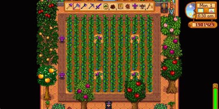 How do you get big crops in Stardew Valley?