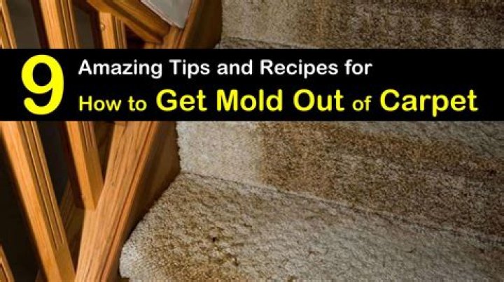 How do you get mold out of carpet?