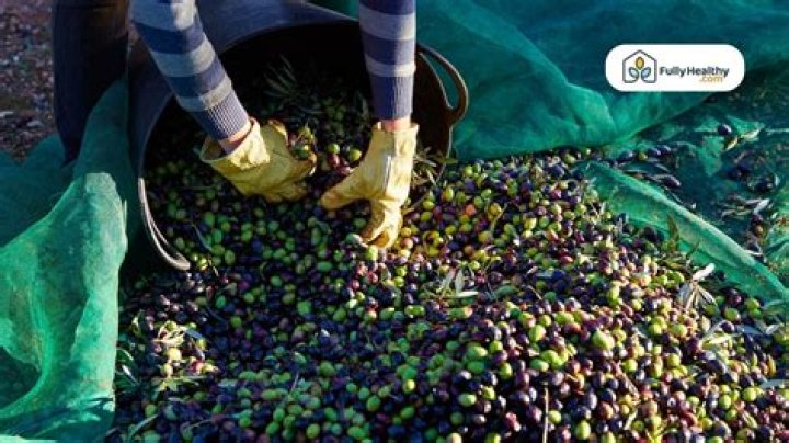 How do you get olive oil out of leather?